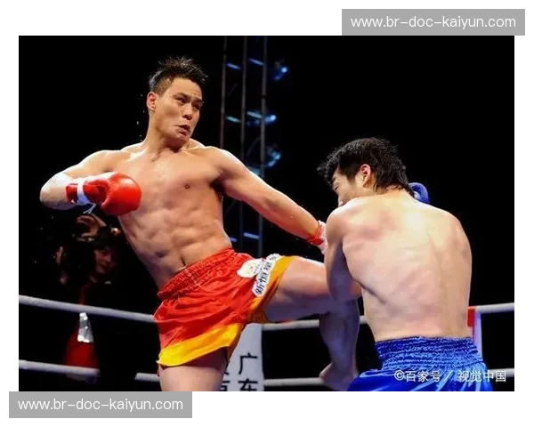 龙争虎斗：苑玉宝与宝力高的宿命之战，谁才是散打黄金时代的武魂？