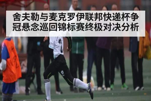 舍夫勒与麦克罗伊联邦快递杯争冠悬念巡回锦标赛终极对决分析